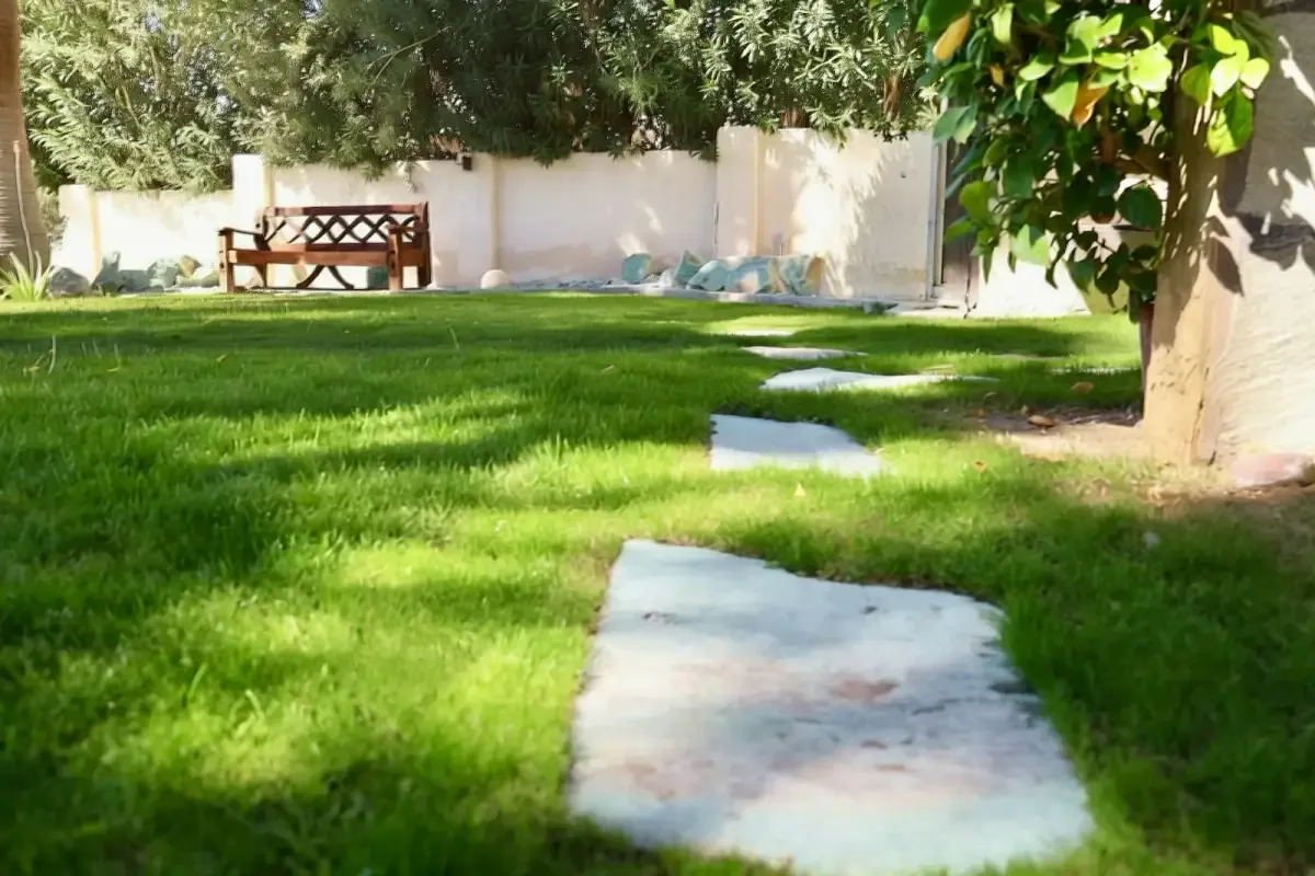 Garden stepping stones leading to a wooden bench